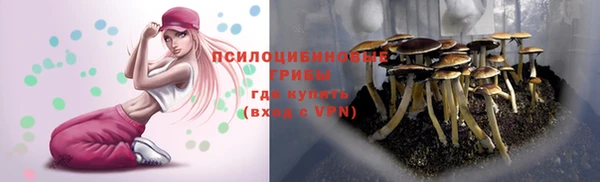 a pvp Липки
